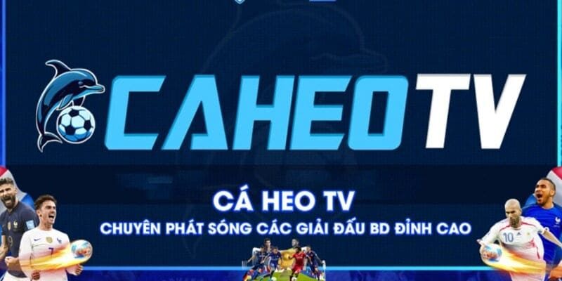 Caheo TV mang đến cho bạn những thông tin chính thống