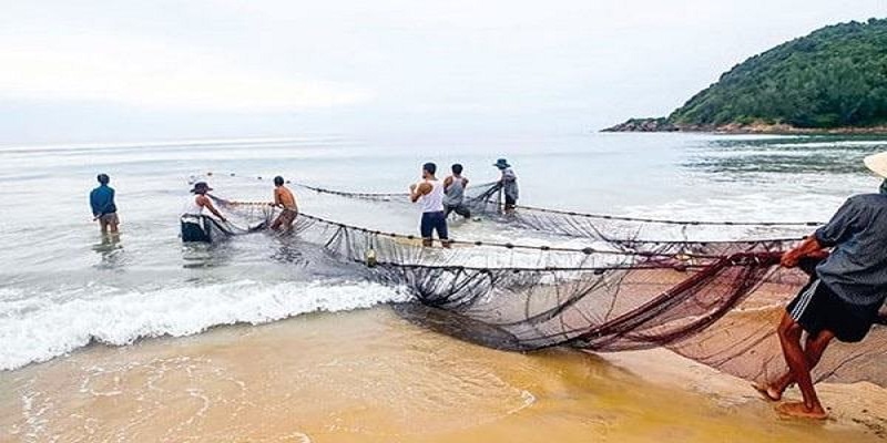 Nằm mơ thấy thả lưới bắt cá đánh con gì?